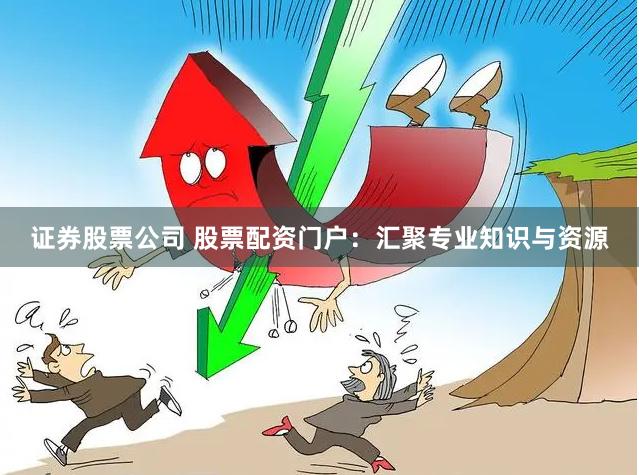 证券股票公司 股票配资门户：汇聚专业知识与资源