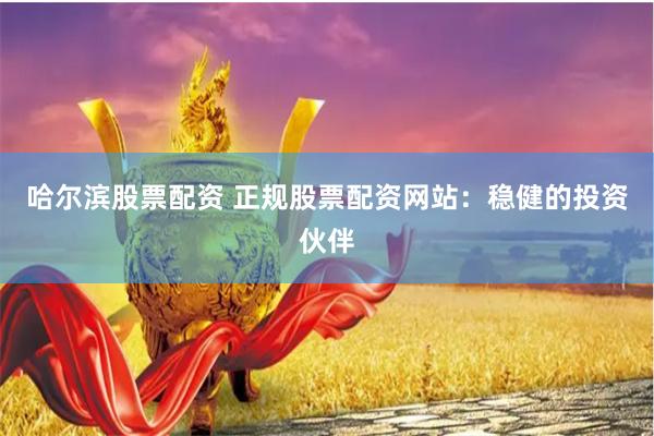 哈尔滨股票配资 正规股票配资网站：稳健的投资伙伴