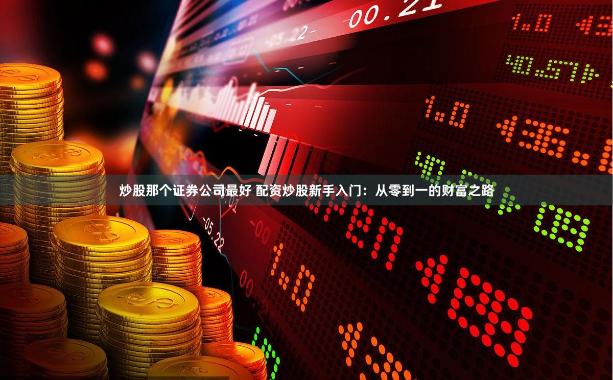 炒股那个证券公司最好 配资炒股新手入门：从零到一的财富之路