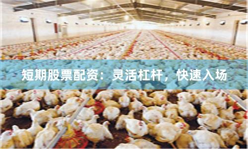 短期股票配资：灵活杠杆，快速入场